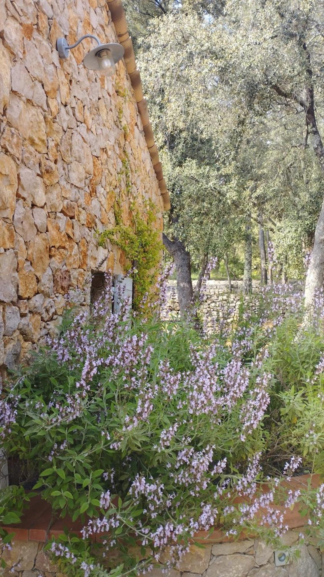 Bed and Breakfast La Bergerie Des Colles Entrecasteaux Екстер'єр фото